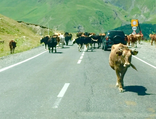 La sécurité en Géorgie : tout ce que les voyageurs doivent savoir