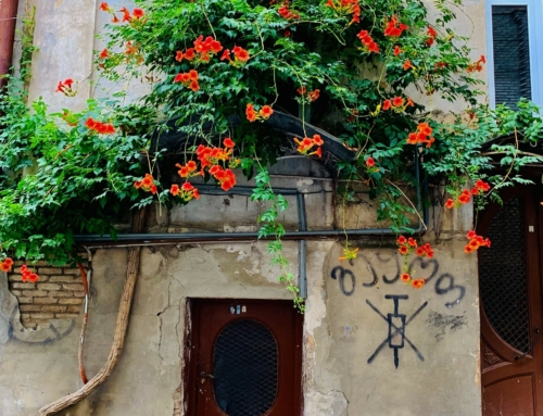 Quelle période choisir pour visiter la Géorgie ?