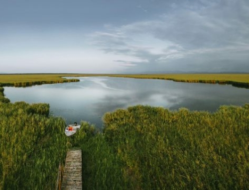 Batoumi et la mer Noire : la Riviera du Caucase