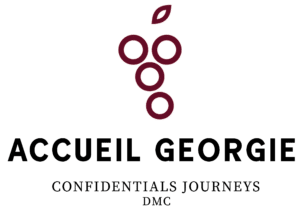 Accueil Géorgie Logo